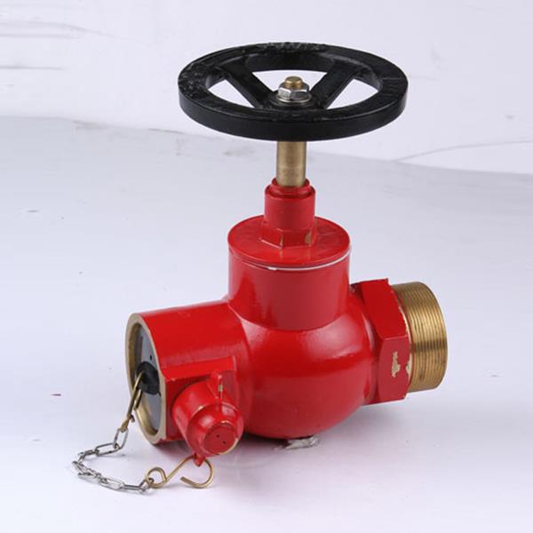Hydrant Fire Indoor